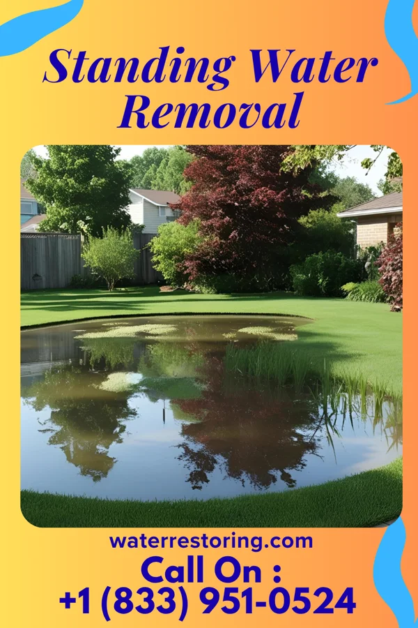 Standing Water Removal in Whippoorwill, OK